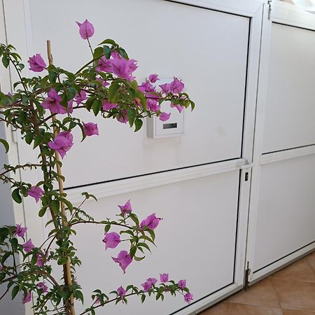 Apartman Dani Задар Экстерьер фото